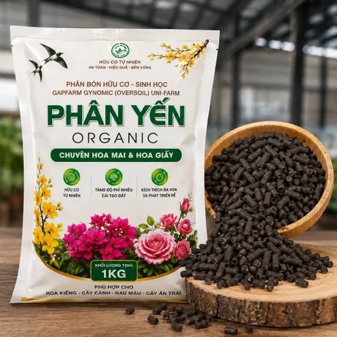 Phân Bón Hữu Cơ Chuyên Cây Mai Vàng -Bonsai - Hoa Kiểng Và Rau Sạch Tại Nhà gói 1kg