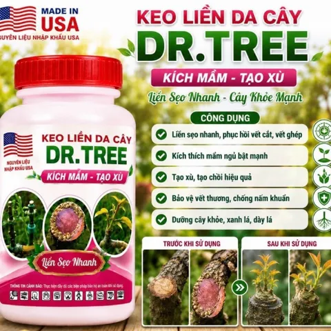 Keo Liền Da Cây 100g / 500g – Kích Mầm, Tạo Xù, Liền Sẹo Nhanh, Chống Thối Vết Cắt Cho Bonsai Mai Vàng