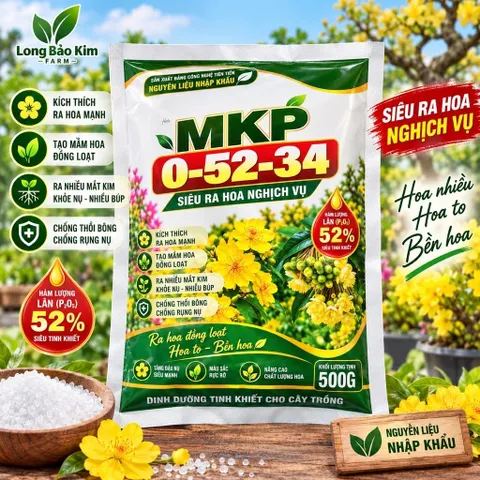 MKP 0-52-34 500G | Siêu Ra Hoa Nghịch Vụ | Lân 52% | Kích Mầm Hoa, Tạo Nụ Đồng Loạt | Phân Bón Hoa Kiểng
