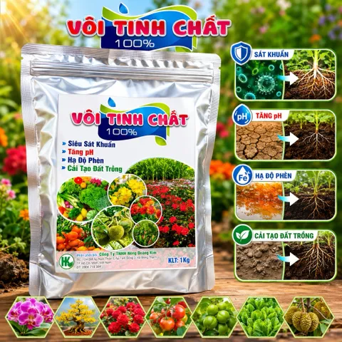 Vôi Tinh Chất 100% 1Kg - Hạ Phèn, Tăng pH Đất, Diệt Khuẩn Nấm Bệnh, Cải Tạo Đất Trồng, Bổ Sung Canxi Cho Cây Trồng