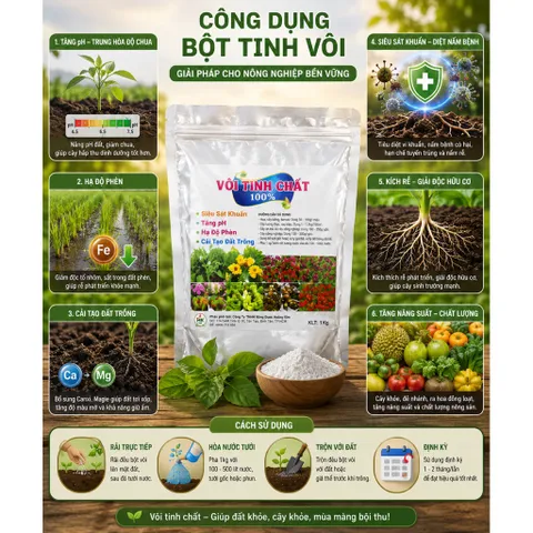 Vôi Tinh Chất 100% 1Kg - Hạ Phèn, Tăng pH Đất, Diệt Khuẩn Nấm Bệnh, Cải Tạo Đất Trồng, Bổ Sung Canxi Cho Cây Trồng