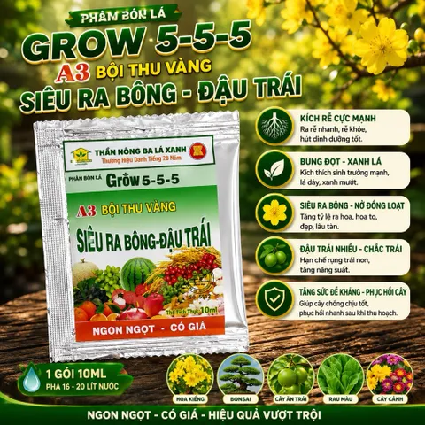 Phân Bón Lá Siêu Ra Bông Đậu Trái Grow 5-5-5 A3 Hộp 10 Gói Cho Mai Vàng, Ớt, Sầu Riêng, Cây Ăn Trái