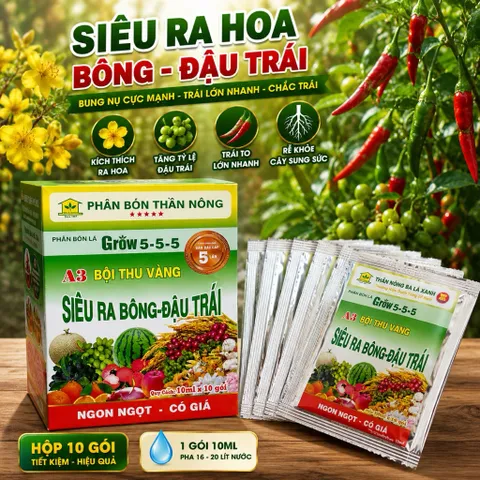 Phân Bón Lá Siêu Ra Bông Đậu Trái Grow 5-5-5 A3 Hộp 10 Gói Cho Mai Vàng, Ớt, Sầu Riêng, Cây Ăn Trái