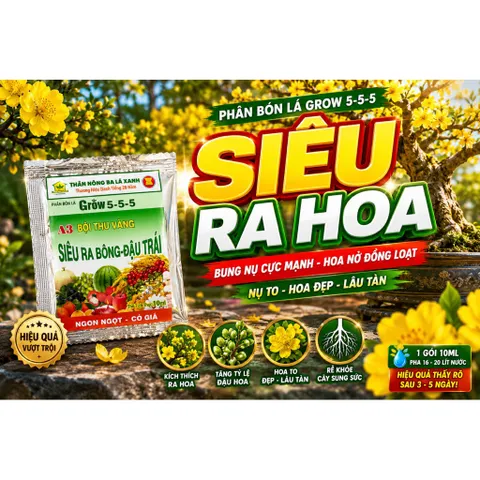 Phân Bón Lá Siêu Ra Bông Đậu Trái Grow 5-5-5 A3 Hộp 10 Gói Cho Mai Vàng, Ớt, Sầu Riêng, Cây Ăn Trái