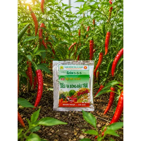 Phân Bón Lá Siêu Ra Bông Đậu Trái Grow 5-5-5 A3 Hộp 10 Gói Cho Mai Vàng, Ớt, Sầu Riêng, Cây Ăn Trái