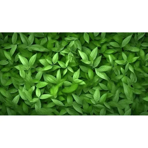 Phân Bón Vi Lượng Đạm Cá Bio Fish Giúp Cây Phát Triển Đẹp, Rễ Khoẻ, Lọ 100gram