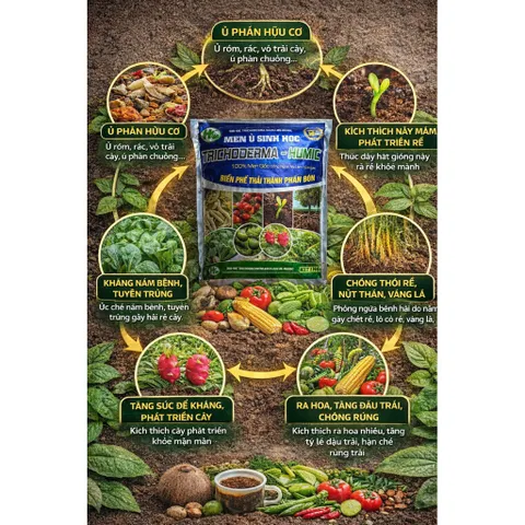 Men Vi Sinh Trichoderma Humic 1Kg | Ủ Phân Hữu Cơ, Cải Tạo Đất, Kích Rễ, Trị Nấm, Tuyến Trùng
