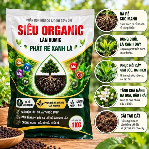 Siêu lân humic dưỡng rễ phát triển bộ rễ toàn diện trung vi lượng cho cây gói 1kg