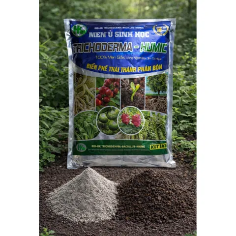 Men Vi Sinh Trichoderma Humic 1Kg | Ủ Phân Hữu Cơ, Cải Tạo Đất, Kích Rễ, Trị Nấm, Tuyến Trùng