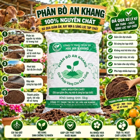 Phân bò Hải An Khang 5kg đã qua giâm ẩm, rây mịn & sàng lọc tạp chất cho cây trồng