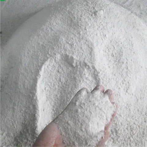 Bột tinh vôi HAK 100% 1Kg - Hạ Phèn, Tăng pH Đất, Diệt Khuẩn Nấm Bệnh, Cải Tạo Đất Trồng, Bổ Sung Canxi Cho Cây Trồng