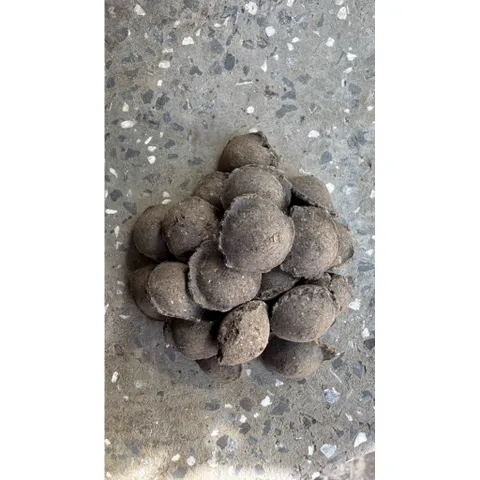 Phân Trùn Quế Cao Cấp Dạng Viên hạt mận 1kg – Bón hoa Lan Hoa Kiểng, Bonsai, Rau Màu – Tơi Xốp Đất, Kích Rễ Mạnh (1kg)