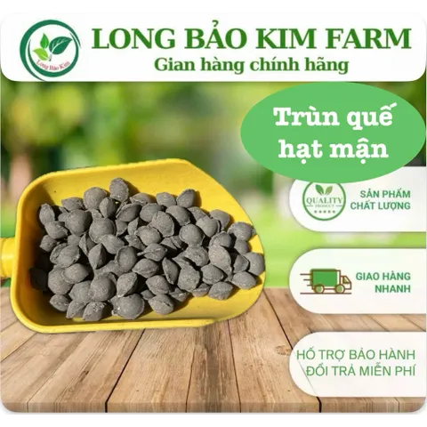 Phân Trùn Quế Cao Cấp Dạng Viên hạt mận 1kg – Bón hoa Lan Hoa Kiểng, Bonsai, Rau Màu – Tơi Xốp Đất, Kích Rễ Mạnh (1kg)