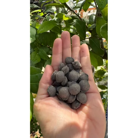 Phân Trùn Quế Cao Cấp Dạng Viên hạt mận 1kg – Bón hoa Lan Hoa Kiểng, Bonsai, Rau Màu – Tơi Xốp Đất, Kích Rễ Mạnh (1kg)