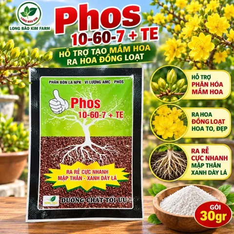 Phân Bón Phos 10-60-7 + TE Lân Cao Hỗ Trợ Phân Hóa Mầm Hoa, Ra Hoa Đồng Loạt – Combo 10 Gói