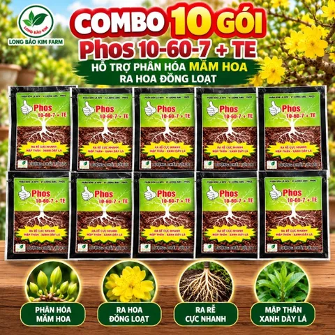Phân Bón Phos 10-60-7 + TE Lân Cao Hỗ Trợ Phân Hóa Mầm Hoa, Ra Hoa Đồng Loạt – Combo 10 Gói