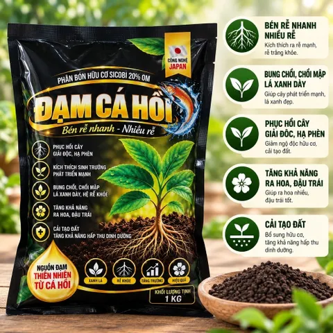 Đạm Cá Hồi Nhật Bản 1KG – Phân Bón Hữu Cơ Kích Rễ, Bung Chồi, Xanh Lá, Chăm Mai Vàng Bonsai, Hoa Kiểng, Cây Ăn Trái