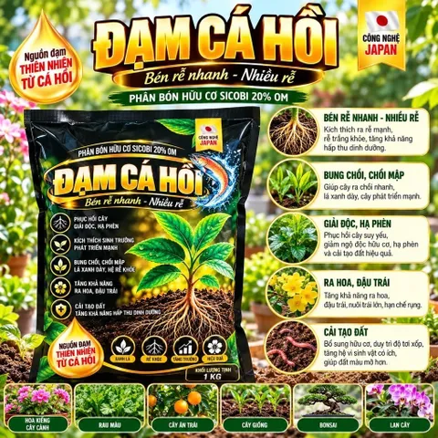 Đạm Cá Hồi Nhật Bản 1KG – Phân Bón Hữu Cơ Kích Rễ, Bung Chồi, Xanh Lá, Chăm Mai Vàng Bonsai, Hoa Kiểng, Cây Ăn Trái