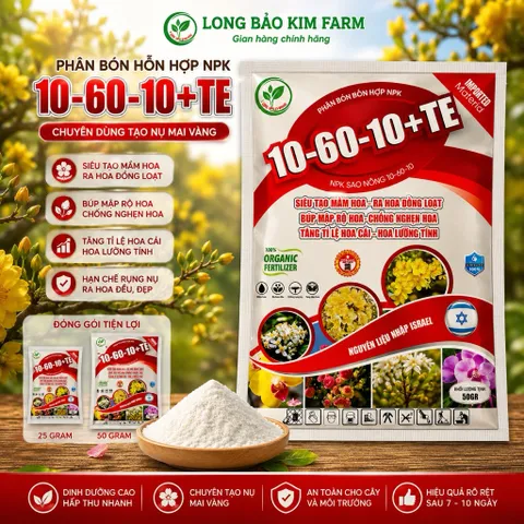 Tạo Nụ Mai Vàng 10-60-10 TE 50gram Siêu Tạo Mầm Hoa Kích Nụ Mạnh Hạn Chế Nghẹn Nụ