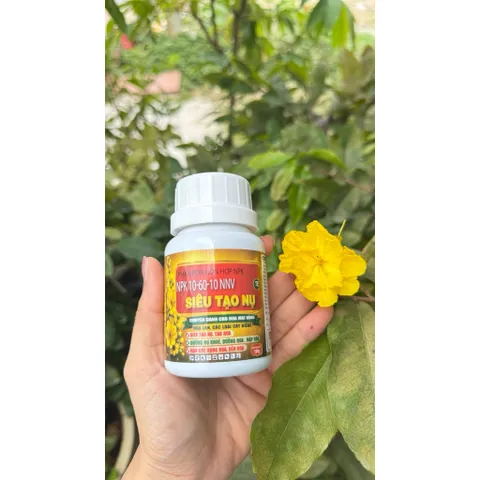 Siêu tạo nụ mai vàng hàng loạt 10-60-10 + Te HK giúp kích hoa chuẩn nụ kim giúp hoa nở đồng đều
