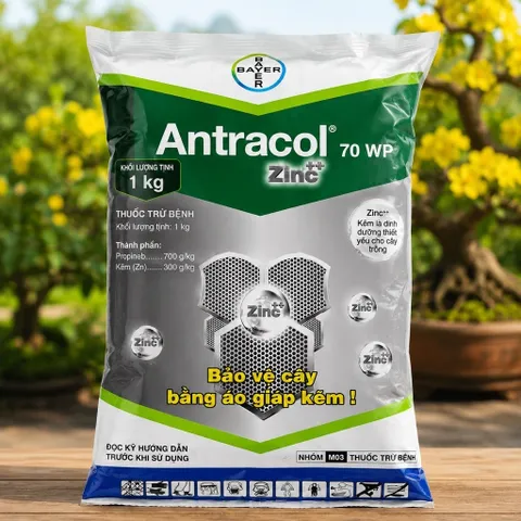 Antracol 70WP Zinc+ 1KG – Propineb 700g/kg + Kẽm Zn 300g/kg, Bảo Vệ Cây Trồng