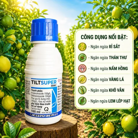 Tilt Super Đặc Trị Phấn Trắng Đốm Lá Thán Thư Cháy Lá Nấm Bệnh Cây Trồng 🌱