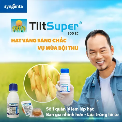 Tilt Super Đặc Trị Phấn Trắng Đốm Lá Thán Thư Cháy Lá Nấm Bệnh Cây Trồng 🌱