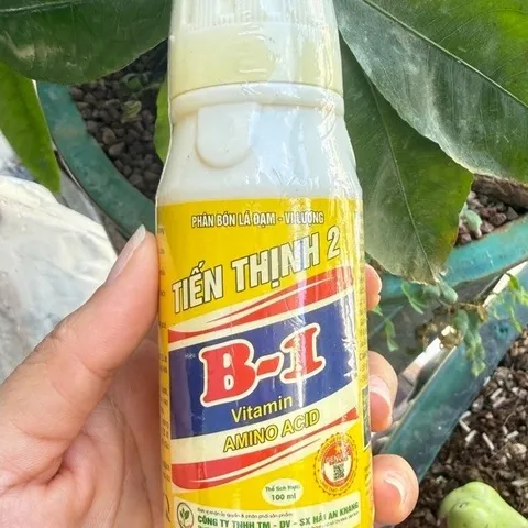 Phân Bón Vitamin B1 Thái Cung Cấp Dinh Dưỡng Cho Cây Trồng, Dung Tích 100ml