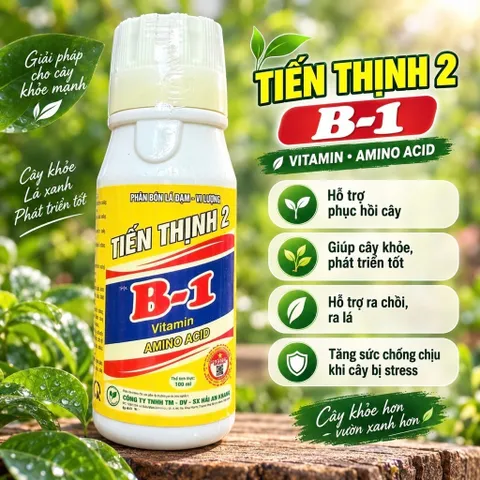 Phân Bón Vitamin B1 Thái Cung Cấp Dinh Dưỡng Cho Cây Trồng, Dung Tích 100ml