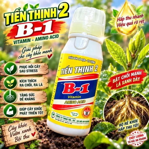 Phân Bón Vitamin B1 Thái Cung Cấp Dinh Dưỡng Cho Cây Trồng, Dung Tích 100ml