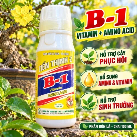 Phân Bón Vitamin B1 Thái Cung Cấp Dinh Dưỡng Cho Cây Trồng, Dung Tích 100ml