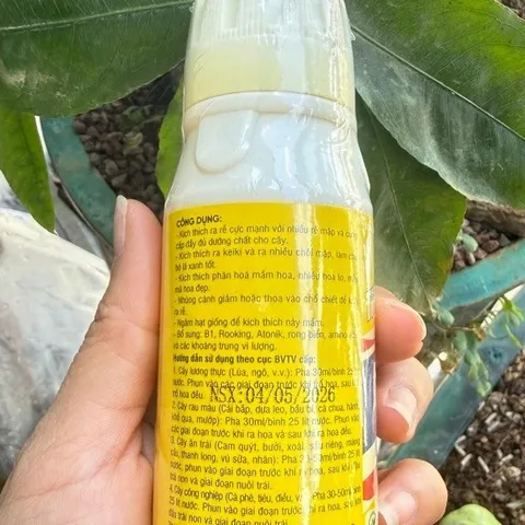Phân Bón Vitamin B1 Thái Cung Cấp Dinh Dưỡng Cho Cây Trồng, Dung Tích 100ml
