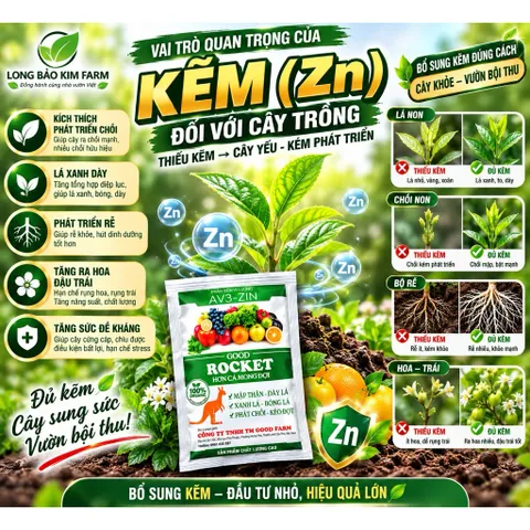 Combo 10 gói Siêu Kẽm 15.000ppm + Fe + Mn gói 50ml | Phân Bón Vi Lượng Cho Cây Trồng