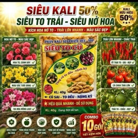 [ Combo 10 gói] Phân Kali 50% – Siêu To Củ, Kích Thích Xuống Củ Mạnh, Tăng Năng Suất Cây Củ