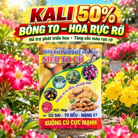 [ Combo 10 gói] Phân Kali 50% – Siêu To Củ, Kích Thích Xuống Củ Mạnh, Tăng Năng Suất Cây Củ