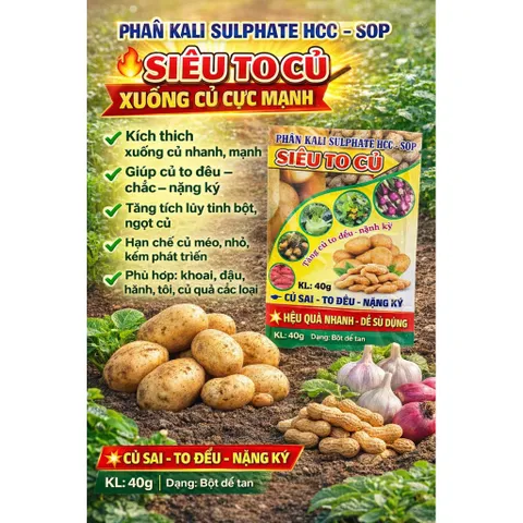 [ Combo 10 gói] Phân Kali 50% – Siêu To Củ, Kích Thích Xuống Củ Mạnh, Tăng Năng Suất Cây Củ