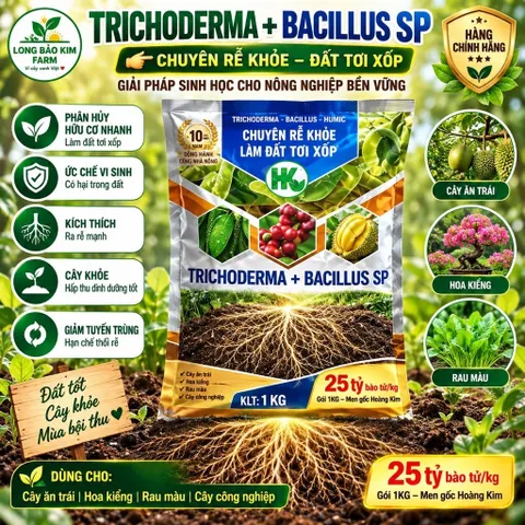 Trichoderma Bacillus SP 1KG – Kích Rễ Mạnh, Diệt Nấm Bệnh, Chống Thối Rễ, Vàng Lá, Vi Sinh Đất