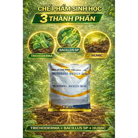 Trichoderma Bacillus SP 1KG – Kích Rễ Mạnh, Diệt Nấm Bệnh, Chống Thối Rễ, Vàng Lá, Vi Sinh Đất