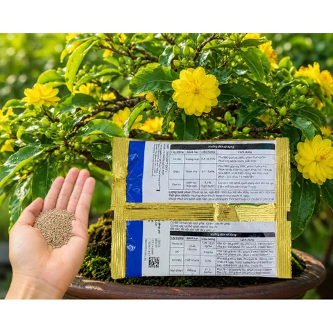RIDOMILGOLD 68WG 100G – THUỐC TRỊ NẤM BỆNH CÂY TRỒNG HIỆU QUẢ