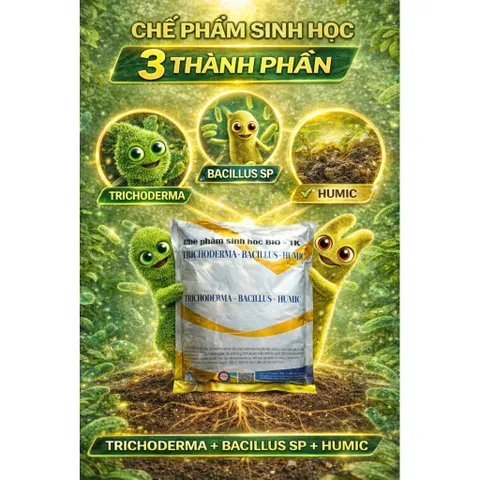 Trichoderma Bacillus SP 1KG – Kích Rễ Mạnh, Diệt Nấm Bệnh, Chống Thối Rễ, Vàng Lá, Vi Sinh Đất