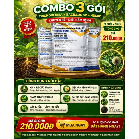 Trichoderma Bacillus SP 1KG – Kích Rễ Mạnh, Diệt Nấm Bệnh, Chống Thối Rễ, Vàng Lá, Vi Sinh Đất