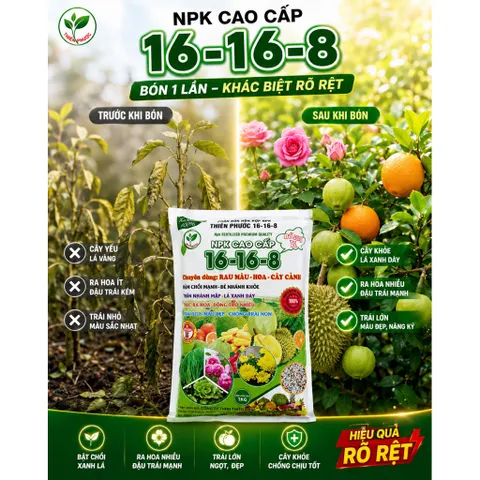 NPK 16-16-8 Thiên Phước 1KG - Phân Bón Rau Màu Hoa Cây Cảnh - Bật Chồi Mạnh, Ra Hoa Nhiều, Trái To Đẹp