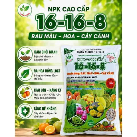 NPK 16-16-8 Thiên Phước 1KG - Phân Bón Rau Màu Hoa Cây Cảnh - Bật Chồi Mạnh, Ra Hoa Nhiều, Trái To Đẹp