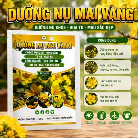 Combo Tạo Nụ Dưỡng Nụ Mai Vàng 0-38-7 – Hỗ Trợ Tạo Nhiều Nụ, Nụ To Mập, Hoa Nở Đẹp