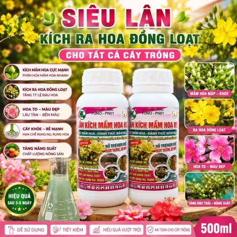 Lân Kích Mầm Hoa 500ml HK FUNO PN01 - Bật Mầm Hoa, Tăng Nụ, Hỗ Trợ Ra Hoa Đồng Loạt Cho Mai, Lan, Hoa Giấy, Cây Ăn Trái