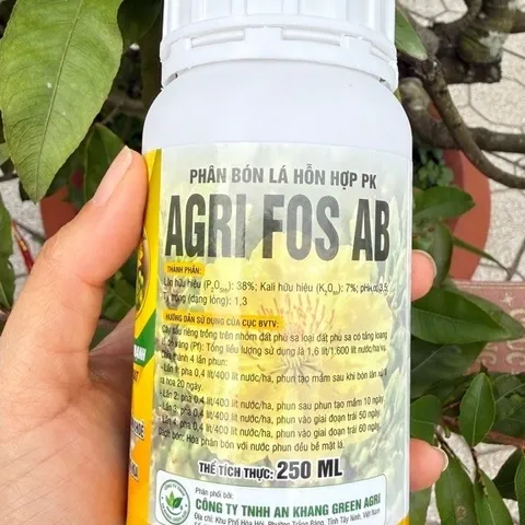 Combo Tạo Nụ Dưỡng Nụ Mai Vàng 0-38-7 – Hỗ Trợ Tạo Nhiều Nụ, Nụ To Mập, Hoa Nở Đẹp