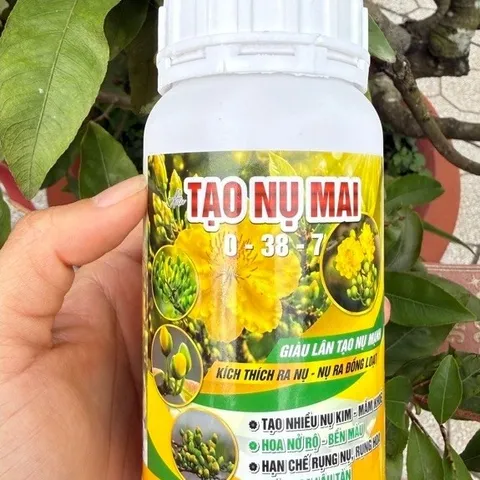 Combo Tạo Nụ Dưỡng Nụ Mai Vàng 0-38-7 – Hỗ Trợ Tạo Nhiều Nụ, Nụ To Mập, Hoa Nở Đẹp