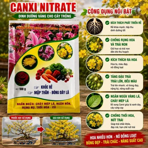 Canxi Nitrate Siêu Tạo Mầm Hoa Tăng Đậu Quả 100gram - Chống Rụng Hoa Trái Non - Hạn Chế Thối Trái -Tăng Khả Năng Hấp Thu