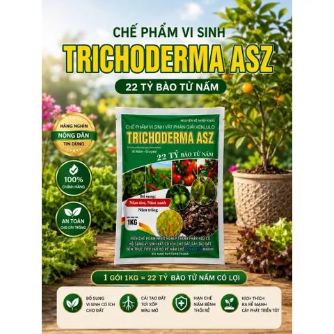Trichoderma ASZ 1KG – Trị Tuyến Trùng Rễ Hiệu Quả, Diệt U Sưng Rễ, Kích Rễ Mạnh, 22 Tỷ Bào Tử
