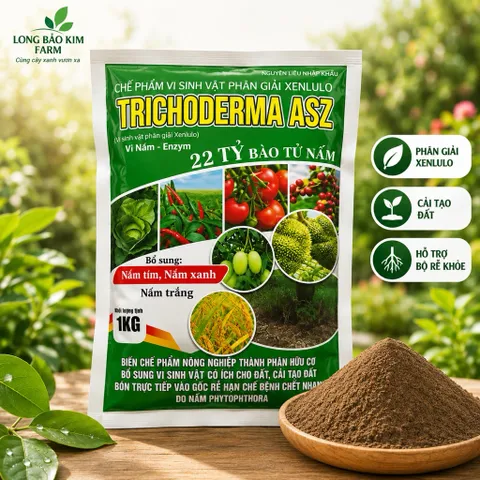 Trichoderma ASZ 1KG – Trị Tuyến Trùng Rễ Hiệu Quả, Diệt U Sưng Rễ, Kích Rễ Mạnh, 22 Tỷ Bào Tử